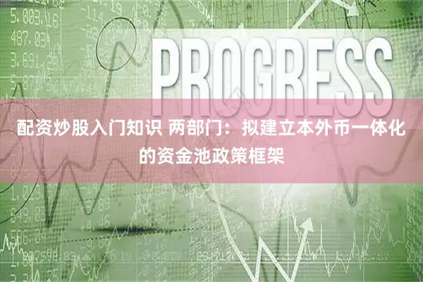 配资炒股入门知识 两部门：拟建立本外币一体化的资金池政策框架